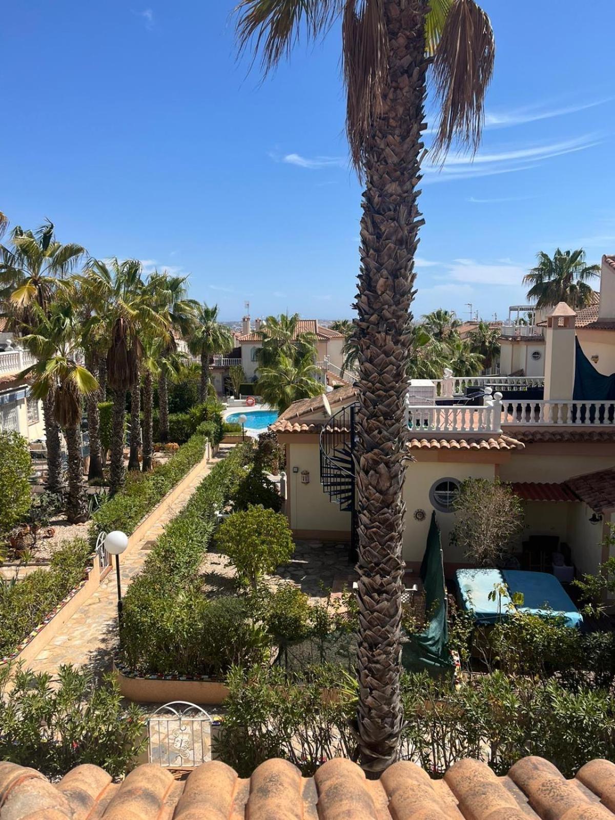 Schoenes Ruhiges Rooftop Apartment Mit Grosser Dachterrasse Torrevieja Exteriör bild